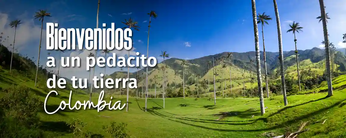 vivendo.co