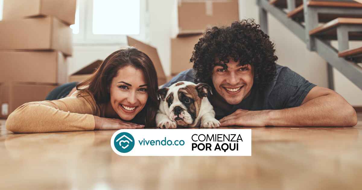 Vivendo.co logo